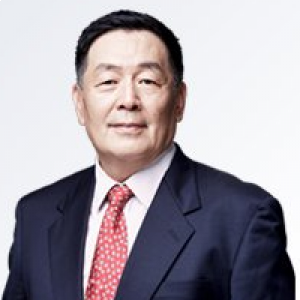 王树京