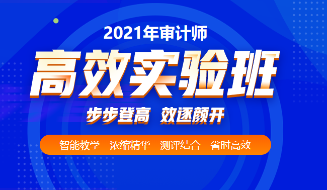 审计师2