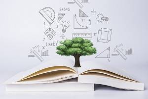 二级建造师教材全国统一吗？
