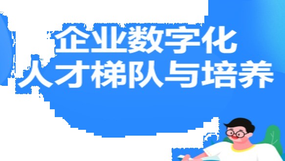 企业数字化人才梯队与培养